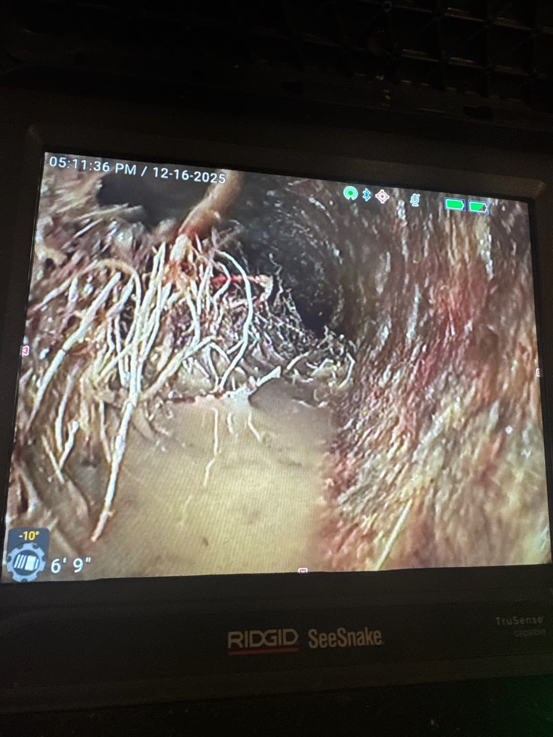 Sewer camera view showing tree roots obstructing a pipeline, with water accumulation visible.